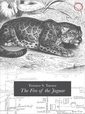 cover image of The Fire of the Jaguar